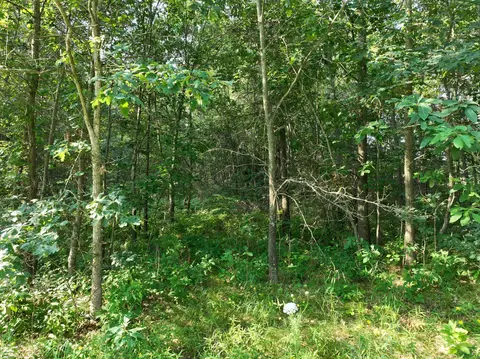 Exterior - 6539 E Madison Rd, Walkerville, MI 49459 photo 2 of 3