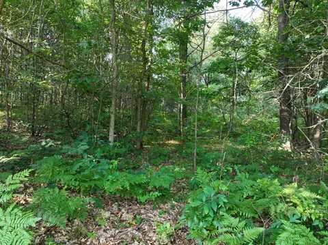 Other - 6539 E Madison Rd, Walkerville, MI 49459 photo 12 of 12