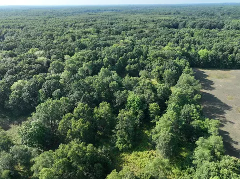 View/Area - 6539 E Madison Rd, Walkerville, MI 49459 photo 2 of 5