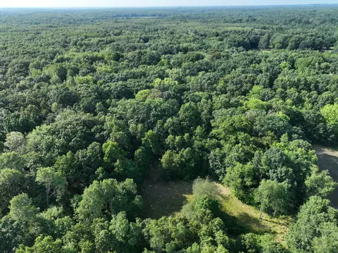 View/Area - 6539 E Madison Rd, Walkerville, MI 49459 photo 5 of 5