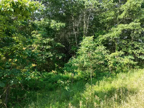Other - 6539 E Madison Rd, Walkerville, MI 49459 photo 9 of 12