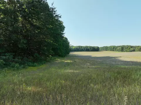 Exterior - 6539 E Madison Rd, Walkerville, MI 49459 photo 1 of 3