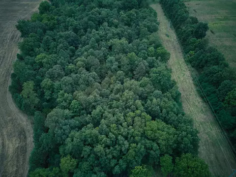 View/Area - Herl Road, Bronson, MI 49028 photo 2 of 19