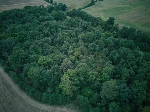 View/Area - Herl Road, Bronson, MI 49028 photo 15 of 19