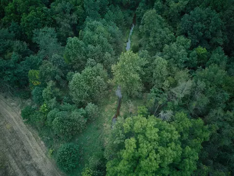 View/Area - Herl Road, Bronson, MI 49028 photo 9 of 19