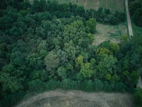 View/Area - Herl Road, Bronson, MI 49028 photo 14 of 19