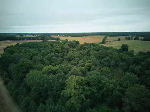 View/Area - Herl Road, Bronson, MI 49028 photo 18 of 19