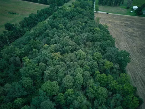 View/Area - Herl Road, Bronson, MI 49028 photo 7 of 19