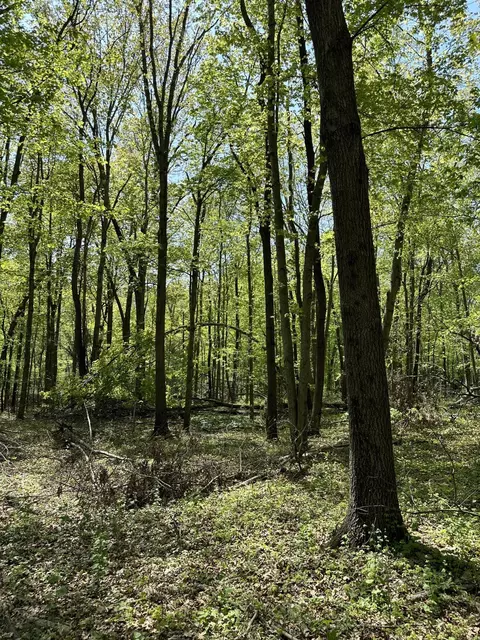 3102 W Kirby Rd, Battle Creek, MI 49017