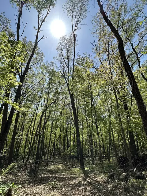 W Kirby Road, Battle Creek, MI 49017