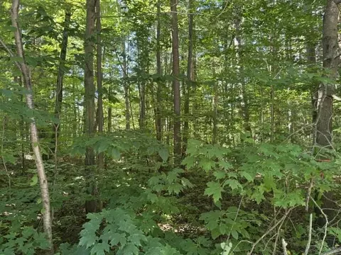 5818 Hunters Rdg, Fennville, MI 49408