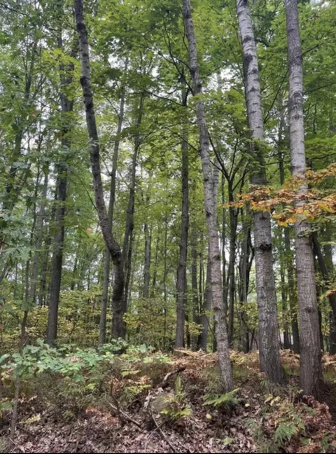 lot681 Elm Run, Farwell, MI 48622