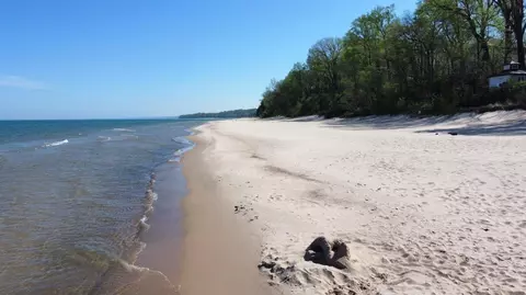 Other - 15972 Prusa Rd, Union Pier, MI 49129 photo 6 of 7