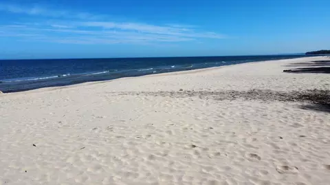 Other - 15972 Prusa Rd, Union Pier, MI 49129 photo 7 of 7