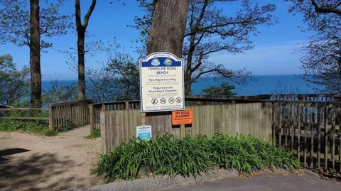 Exterior - 15972 Prusa Rd, Union Pier, MI 49129 photo 6 of 7