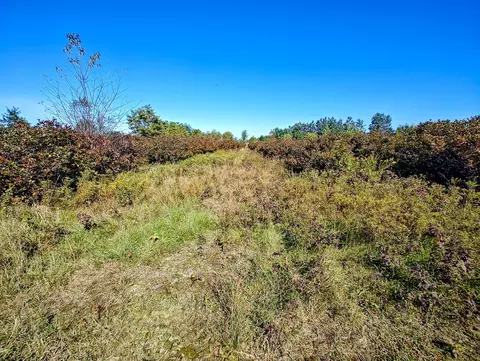Other - Vl 72nd St, Covert, MI 49043 photo 4 of 17