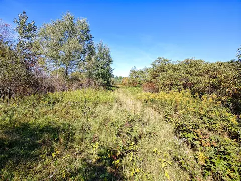 Other - Vl 72nd St, Covert, MI 49043 photo 15 of 17