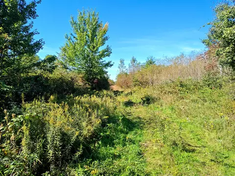 Other - Vl 72nd St, Covert, MI 49043 photo 9 of 17