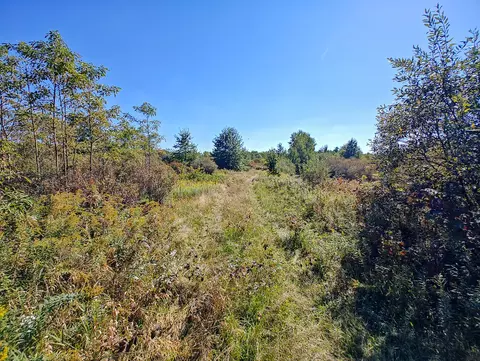 Other - Vl 72nd St, Covert, MI 49043 photo 14 of 17