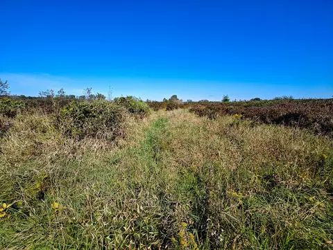Other - Vl 72nd St, Covert, MI 49043 photo 1 of 17