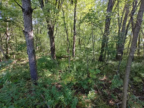 Exterior - Vl 72nd St, Covert, MI 49043 photo 3 of 5