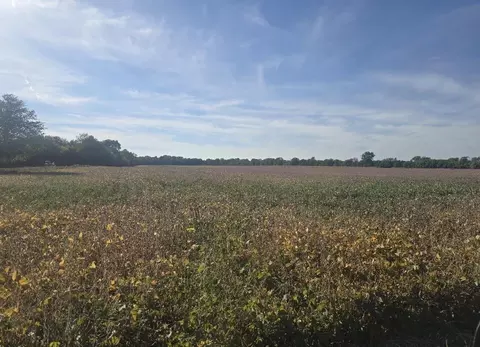 Marshall Road, Coldwater, MI 49036 photo 2
