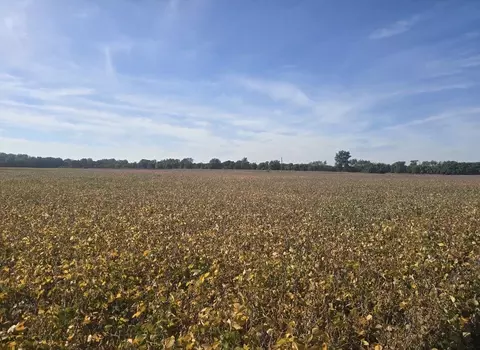 Marshall Road, Coldwater, MI 49036