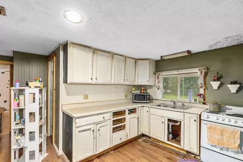 Other - 9890 Fish Rd, Belding, MI 48809 photo 4 of 5