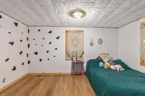 Bedroom - 9890 Fish Rd, Belding, MI 48809 photo 5 of 5