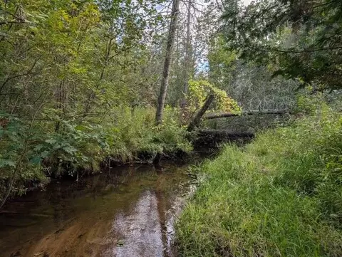 22313 10 Mile Rd, Reed City, MI 49677