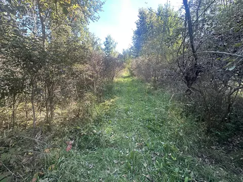 Vl 20 Mile Road, Marshall, MI 49068