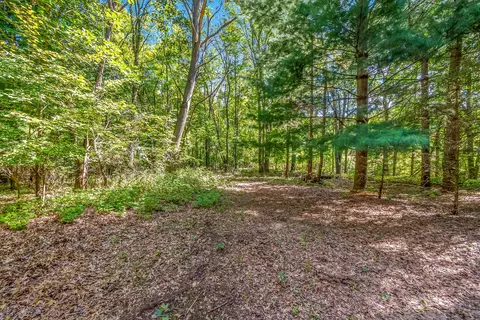 Exterior - 5607 Ridge Dr, Reading, MI 49274 photo 9 of 16