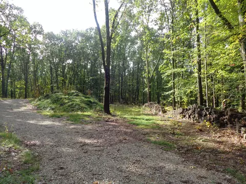 Parcel A 109th Avenue, Pullman, MI 49450 photo 3