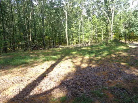 Parcel A 109th Avenue, Pullman, MI 49450 photo 7