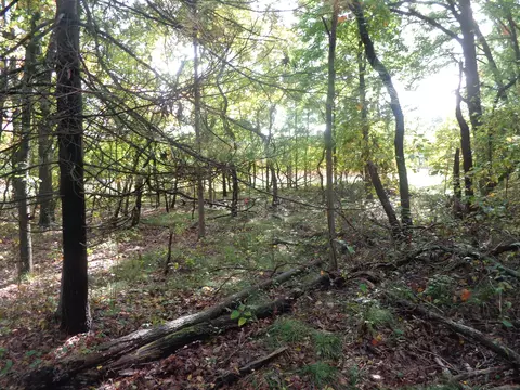 Parcel B 109th Avenue, Pullman, MI 49450 photo 9