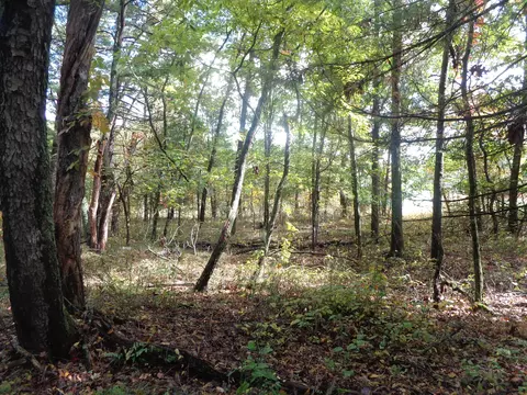 Parcel B 109th Avenue, Pullman, MI 49450 photo 8