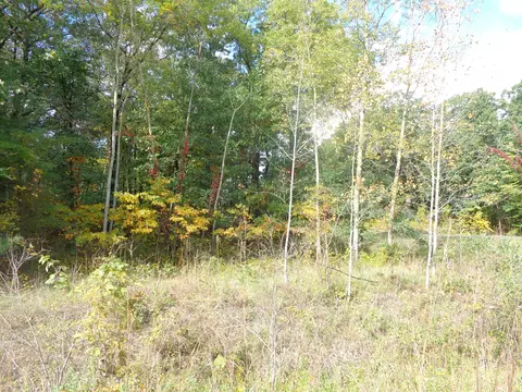 Parcel B 109th Avenue, Pullman, MI 49450 photo 4