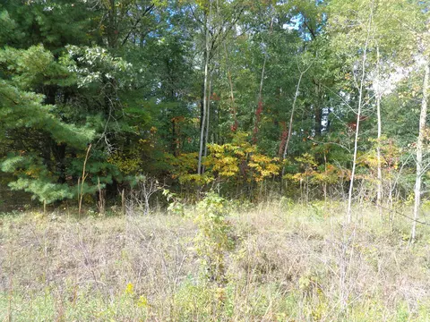 Parcel B 109th Avenue, Pullman, MI 49450 photo 2