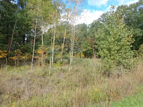 Parcel B 109th Avenue, Pullman, MI 49450 photo 3
