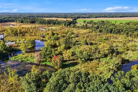 View/Area - 00000 Hoshel Rd, Three Rivers, MI 49093 photo 9 of 12
