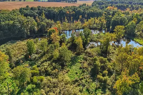View/Area - 00000 Hoshel Rd, Three Rivers, MI 49093 photo 8 of 12