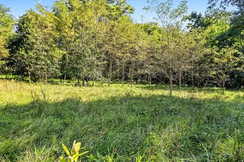 Other - 00000 Hoshel Rd, Three Rivers, MI 49093 photo 2 of 4