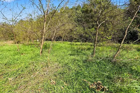 Other - 00000 Hoshel Rd, Three Rivers, MI 49093 photo 3 of 4