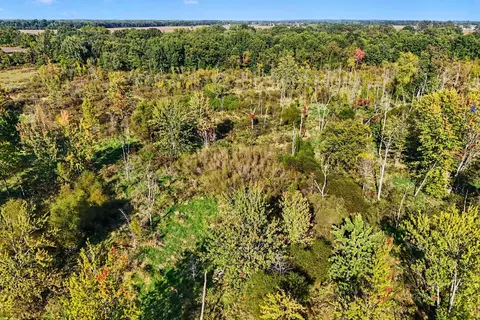 View/Area - 00000 Hoshel Rd, Three Rivers, MI 49093 photo 6 of 12