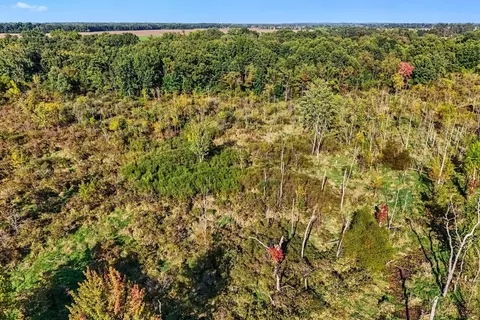 View/Area - 00000 Hoshel Rd, Three Rivers, MI 49093 photo 7 of 12