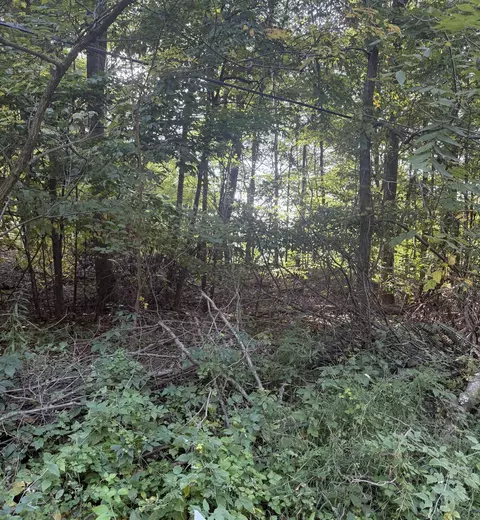 Doster Road, Plainwell, MI 49080