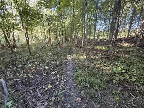 Other - 14666 Fedore Rd, Buchanan, MI 49107 photo 12 of 12