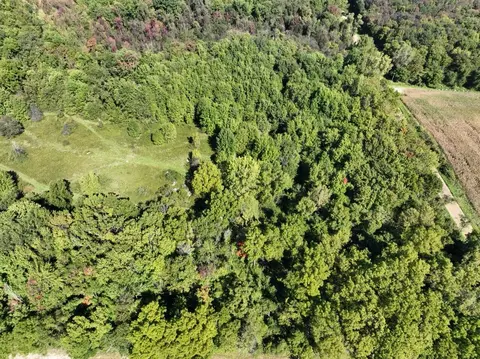 View/Area - 14666 Fedore Rd, Buchanan, MI 49107 photo 3 of 4