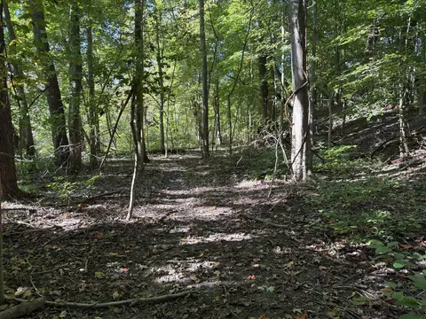 Exterior - 14666 Fedore Rd, Buchanan, MI 49107 photo 3 of 4