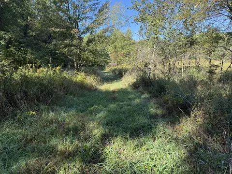 Other - 14666 Fedore Rd, Buchanan, MI 49107 photo 11 of 12